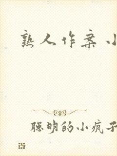 熟人作案 小说封面