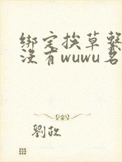 绑定挨草系统后没有wuwu名字