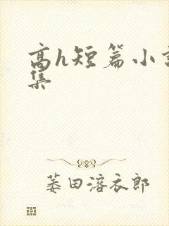 高h短篇小说合集