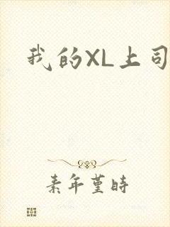 我的XL上司