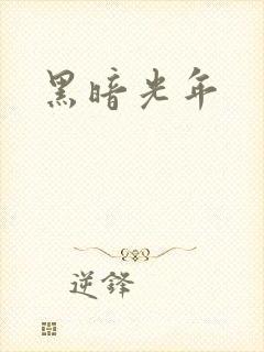 黑暗光年封面