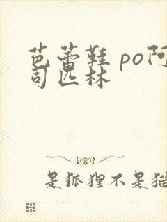 芭蕾鞋 po阿司匹林封面