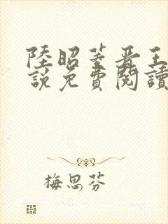 陆昭菱晋王的小说免费阅读封面