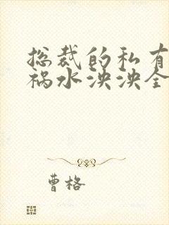 总裁的私有宝贝祸水泱泱全文阅读