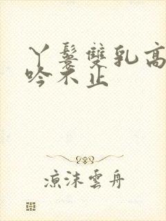 丫鬟双乳高耸呻吟不止封面