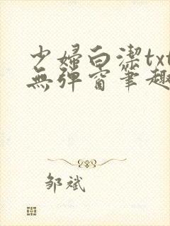 少妇白洁txt无弹窗笔趣阁封面