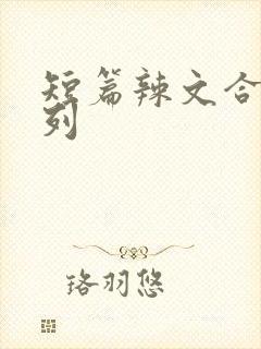 短篇辣文合集系列