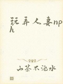 玩弄人妻np高h封面