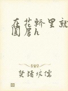 在花轿里就开始圆房h