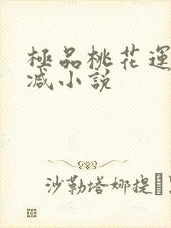 极品桃花运未删减小说