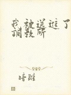 我被送进了私奴调教所