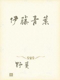 伊藤青叶封面