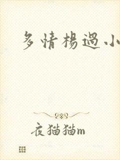 多情杨过小说封面