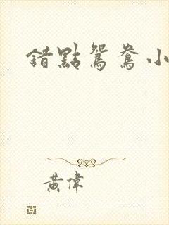 错点鸳鸯小说