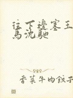 往下边塞玉器骑马沈驰封面