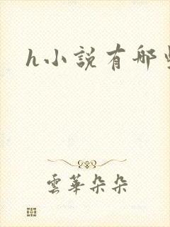 h小说有哪些封面