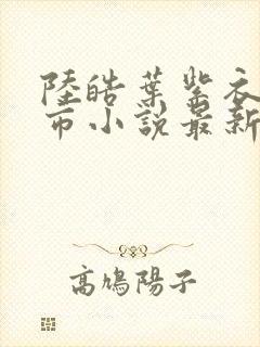 陆皓叶紫衣的都市小说最新章节