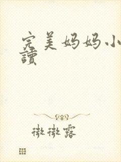 完美妈妈小说阅读封面