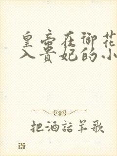 皇帝在御花园进入贵妃的小说