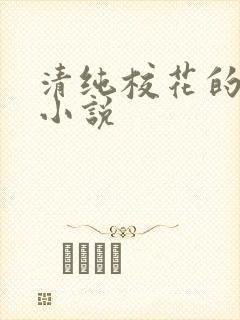 清纯校花的日常小说