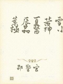 叶辰夏若雪都市极品医神 小说