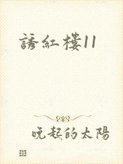 诱红楼11