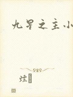 九星之主小说