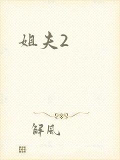姐夫2