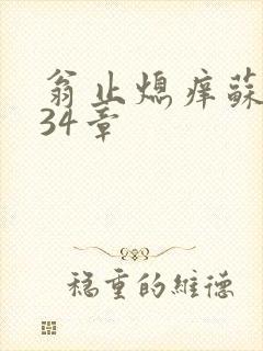 翁止熄痒苏钥第34章封面