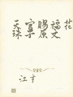 天官赐福花怜塞珠子原文封面