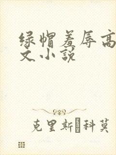 绿帽羞辱高辣h文小说