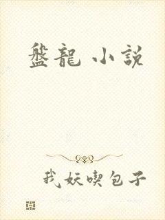 盘龙 小说