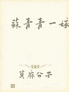 苏青青一嫁三夫封面