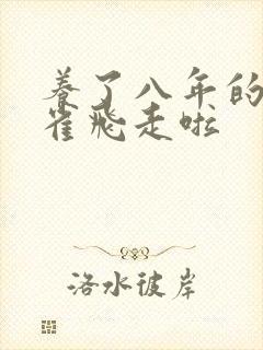 养了八年的金丝雀飞走啦