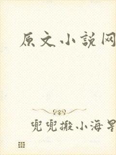 原文小说网