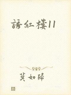 诱红楼11封面