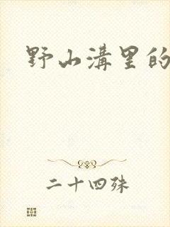 野山沟里的村庄