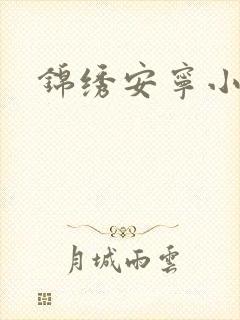 锦绣安宁小说封面