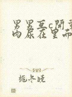 男男互c开荤粗肉尿在里面视频封面