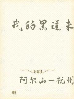 我的黑道未婚夫