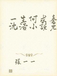 一生何求秦菲雪沈浩小说免费阅读全文封面