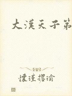 大汉天子第一部封面