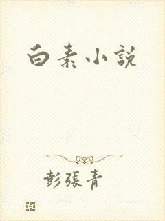 白素小说