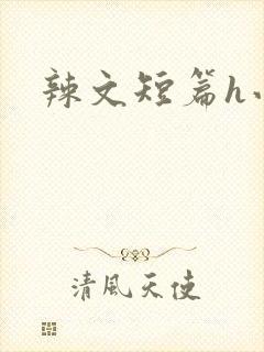 辣文短篇h小说封面