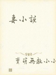 妻小说