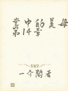 掌中的美母版主第14章