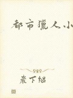都市猎人小说