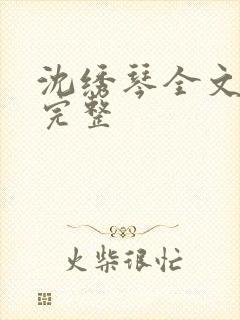 沈绣琴全文阅读完整封面