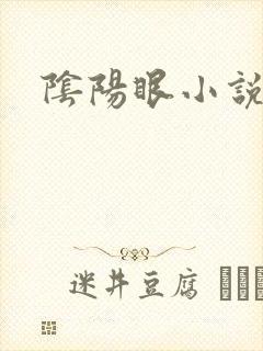 阴阳眼小说
