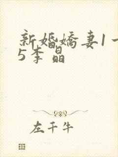 新婚娇妻1一25李晶